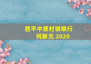 西平中原村镇银行何新元 2020